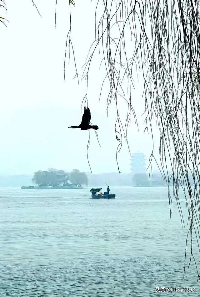 新华社原军事记者陶俊峰泉城美拍：《冬雾中的大明湖》