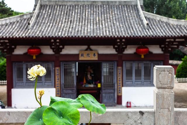 揭秘尼姑庵的黑暗面：尼姑平均年龄不到25，香客人来人往究竟为何