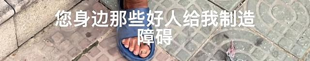 沈巍和苏见达，江湖再见