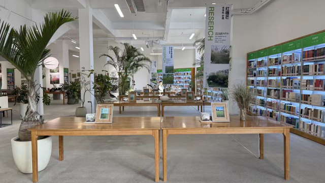 拒绝冬日 emo！临沂这些室内场馆，遛娃打卡放空全拿捏