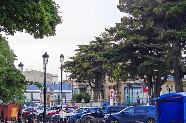 蓝战非去南极，在南非被抢！团费近10万美金？普通人去南极安全吗