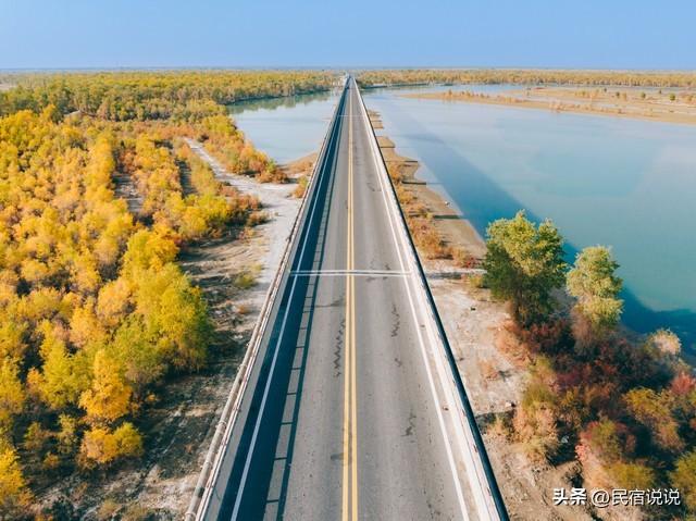 470万亩胡杨林带你秋游大美新疆