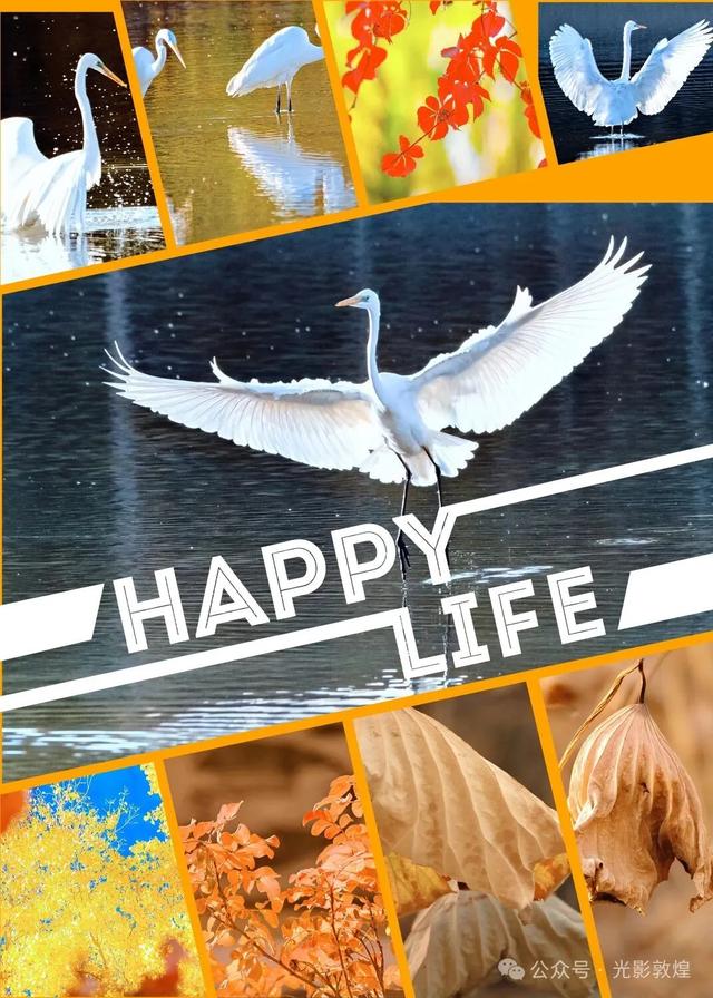 【近距离看敦煌】给党河风情线的秋色来个特写