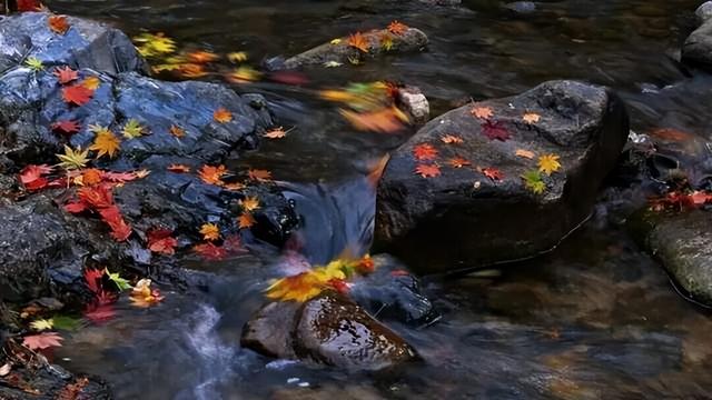 氛围感拉满！集安的秋天，藏着最治愈的人间烟火
