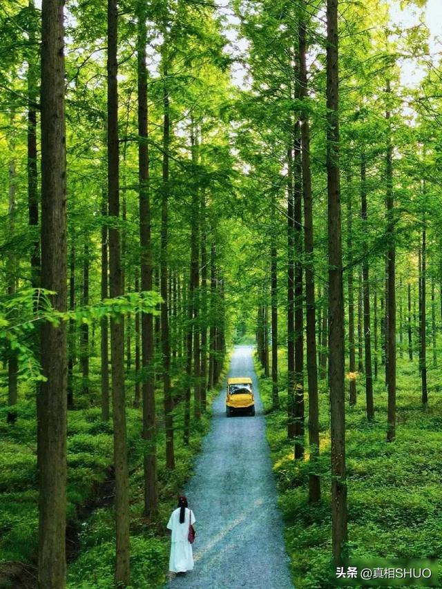 年轻人扎堆小城，热门景区遭嫌弃，这波操作能长久吗？