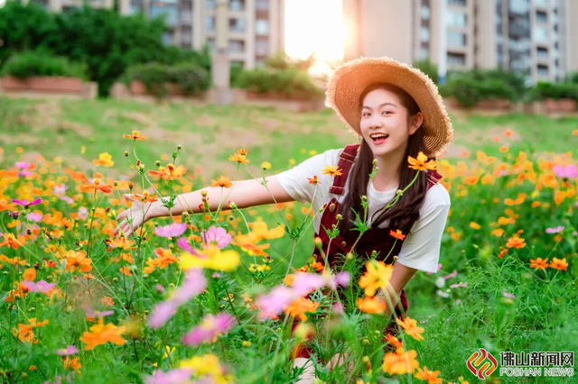 美爆了！佛山秋日花海上新！