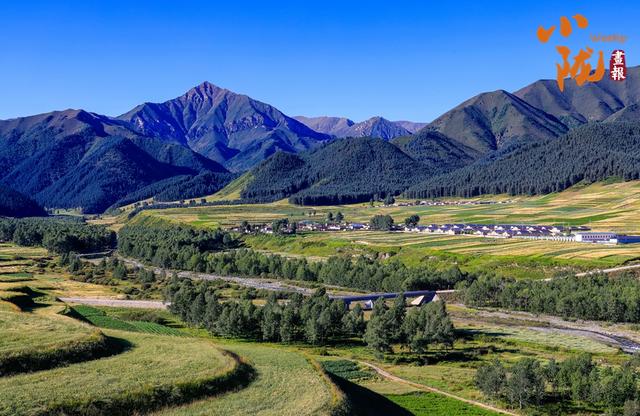 【小陇画报·433期】天祝哈溪：白雪绿林同框 冬日浪漫如画境