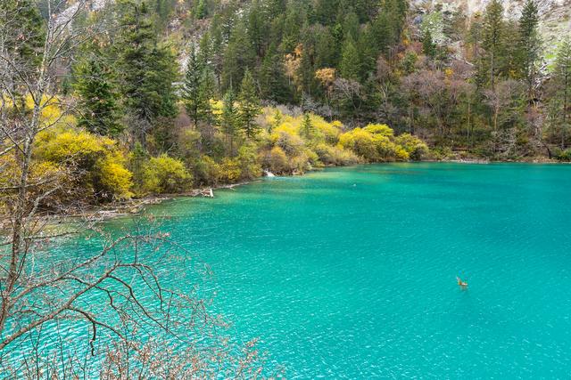 光影札记 | 秋染九寨：一半湖水蓝，一半山林红