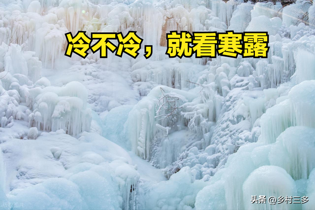 “冷不冷，就看寒露”，今日寒露，今年冬天特别冷吗？看农谚咋说