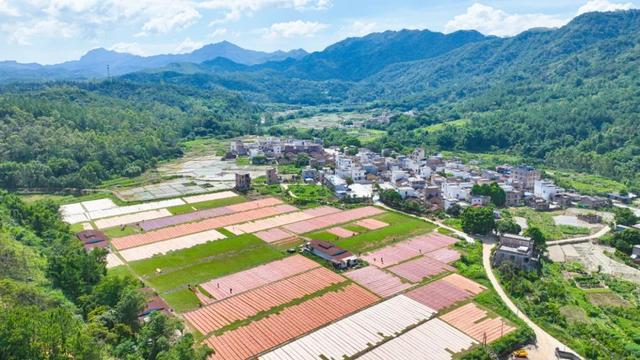 码头风情、咖啡醇香、城堡童话！跟着“悦禄小双”解锁高要新玩法
