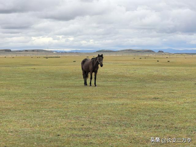 北上大草原第8站：贡格尔草原生活体验一天