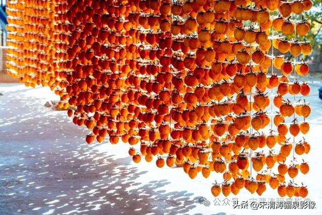 陕西渭南：柿饼甜美软糯可口 富平县曹村镇马坡村未来可期