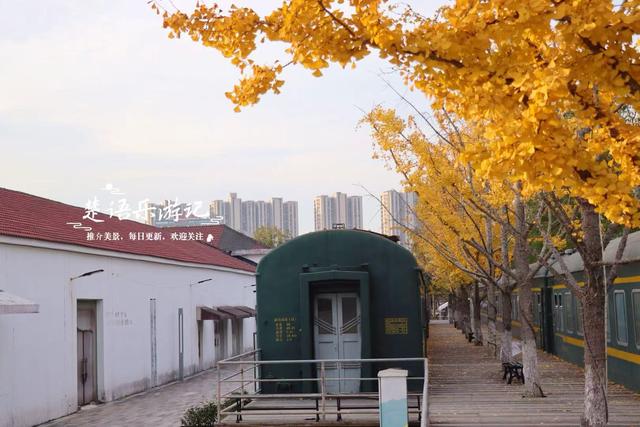 浙江宁波的水景公园，不仅是露营的好去处，还是银杏乌桕观赏胜地