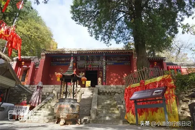 陕西古树，真的“封神”了！