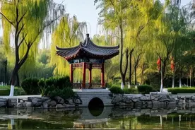 桥西区、长安区和新华区2025年石家庄市级重点项目图片