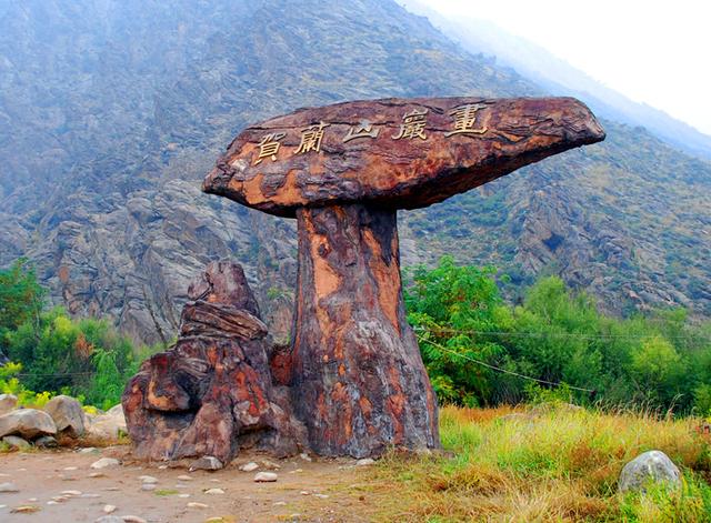 宁夏旅游：从沙漠绿洲到贺兰山岩画揽胜（图）