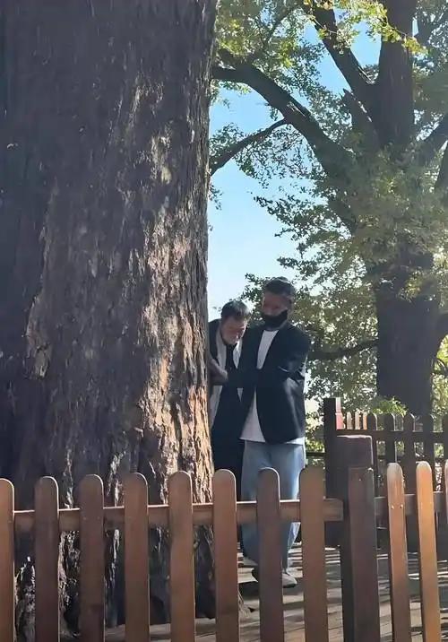 离春节不到2月，52岁辛柏青传来好消息，朱媛媛终于可以放心了