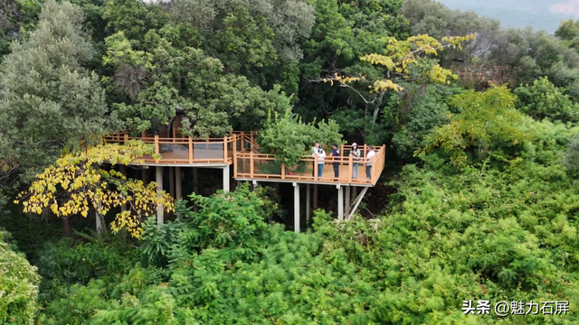 石屏仁寿村：闲置校舍变民宿 乡村文旅添新景