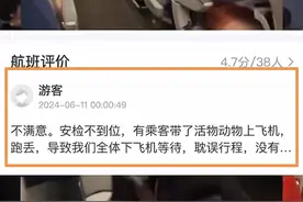 虹桥机场的仓鼠是怎么上飞机的？连丸子头都捏，安检失职或不成立图片