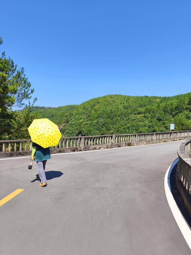 闽侯大湖乡宝溪水库(2025·7·28～8·1)