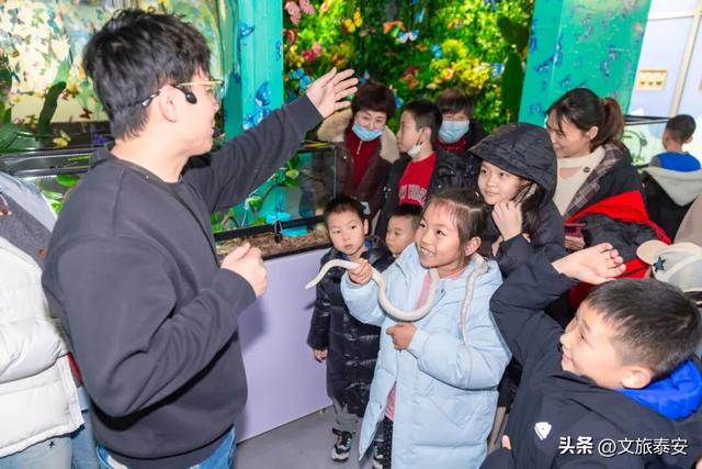 开年遛娃首选！东平湖流浪水世界暖冬亲子奇遇季，全家欢乐新去处！