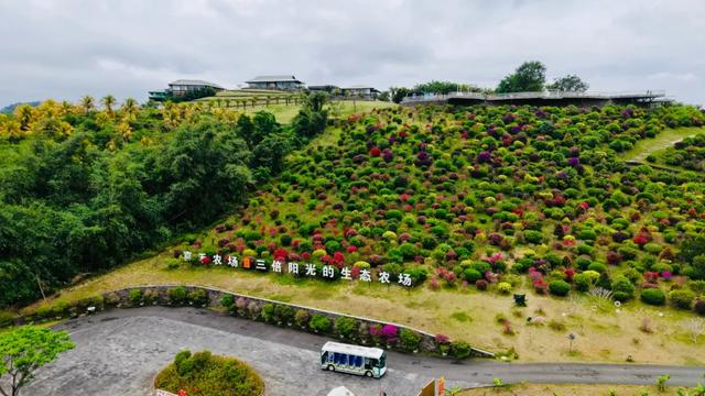 儋眉城市联动宣传特别报道丨东坡文化泽后世 “CP”双城谱新韵