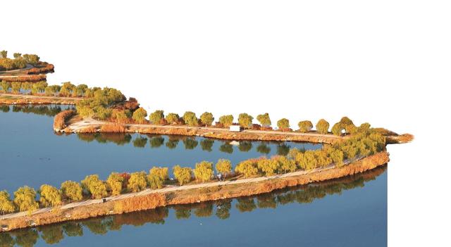 大美银川 秋色无边