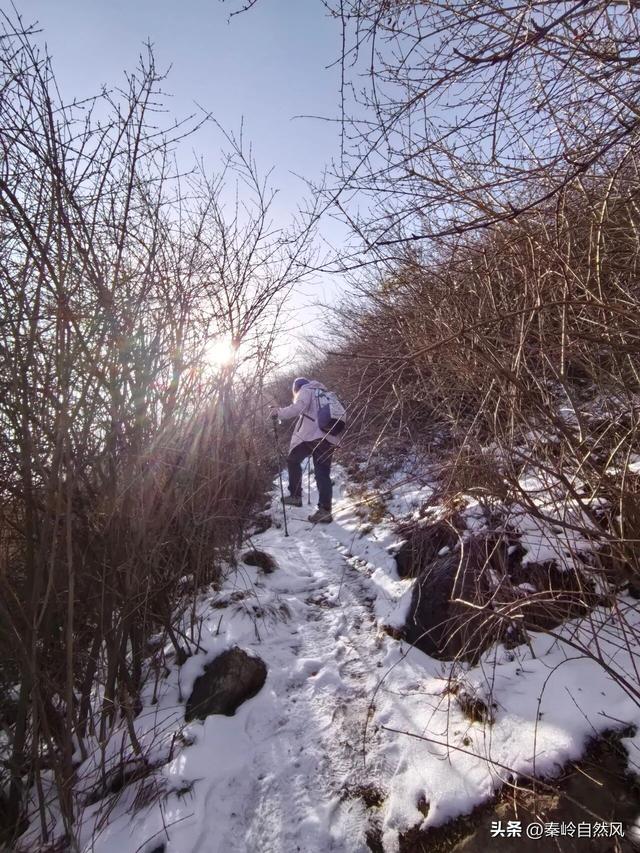雪后初霁登顶嵯峨山，走荒野雪原，看千年悟空塔，感受历史的烟云