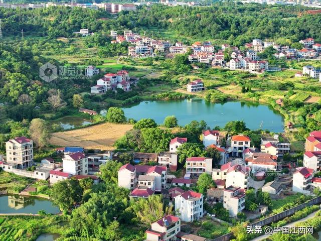 泰和：生态田园风景如画
