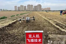 无人机在农业领域大展身手图片