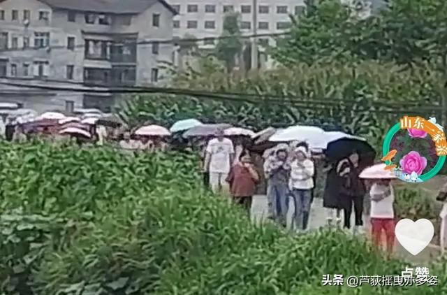 贵州茅石避暑过半，总结一下，说说体会（一）