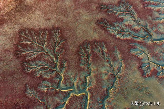 2025辽宁赏秋之旅日记(6)——到辽河口中国最北海岸线看日出 观鸟