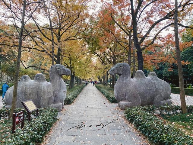 南京举世闻名，但其“简称”却难倒众人，好多外地人答不上来？