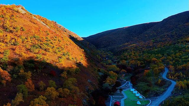 【支援合作 共谋发展】林西秋深：“福山”揽翠色 “花楸谷”醉红妆