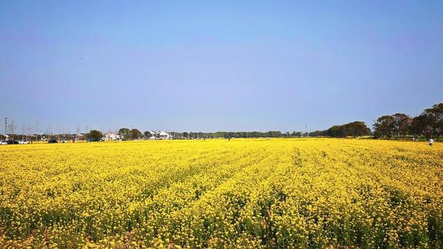 爆款标题：人这一生，最大的憾事莫过于相遇越无法相拥。