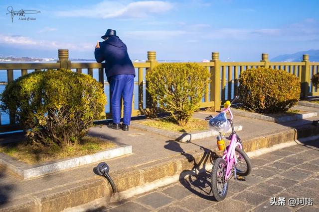 在洱海边偶遇最“潮”老头，粉色坐驾堪称是大理最靓丽的风景线