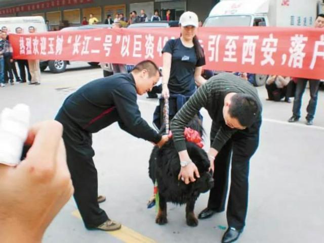 曾风靡全国的“骗局”，却被捧上神坛炒到千万！如今白菜价没人要