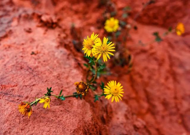 明光这片红石滩，美到让相机发烫