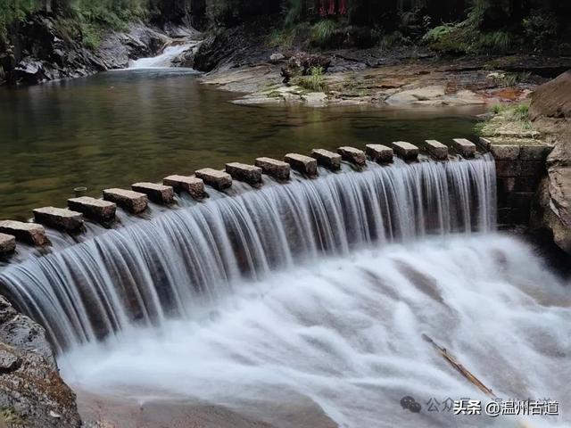 温州这个以畲族始祖命名的4A级景区，秘藏着一座“生物王国”！