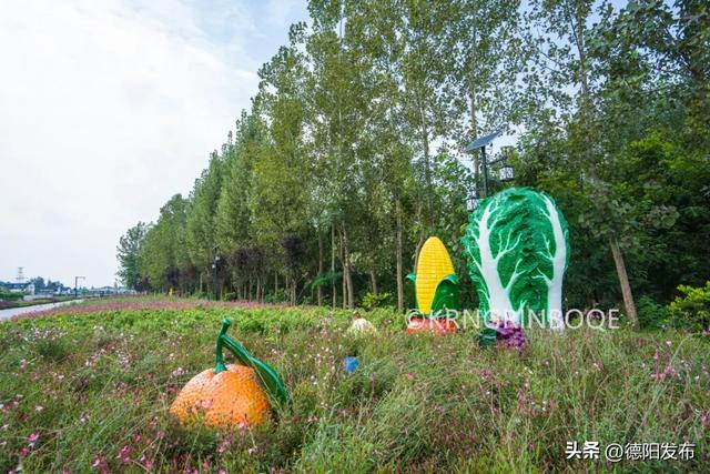 免费！德阳15分钟刹拢！穿竹林、摘果子、拍美片，小众悠闲~