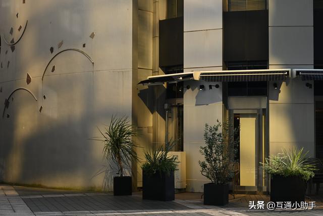 尼康“NIKKOR Z 24-70mm f/2.8 S II” 全方位升级的大三元标准变焦镜头