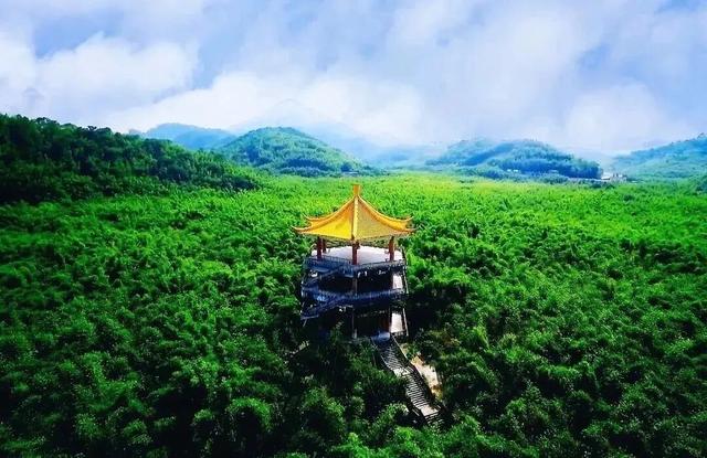 哇，奇幻树屋即将亮相🤩！就在肇庆这里……