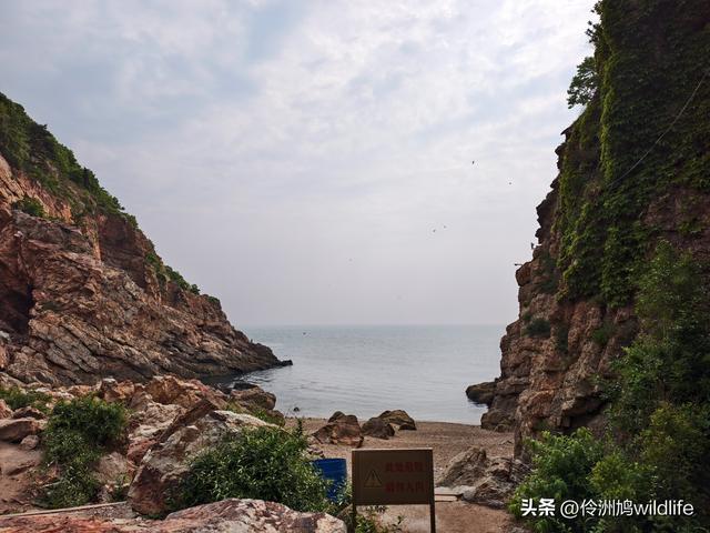 大连海之韵公园·棒槌岛