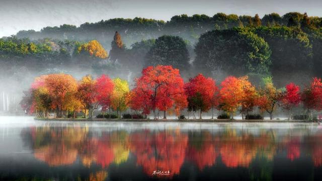 高铁1h！比西安秀美！这座千年古都秋色绝了！高光仅20天！