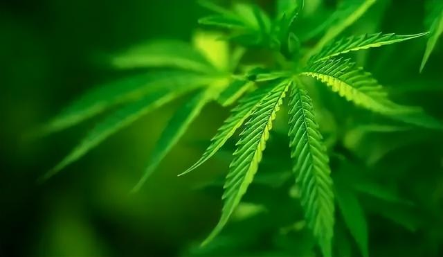 伤心到极致的个性句子，句句深入人心，感悟超深