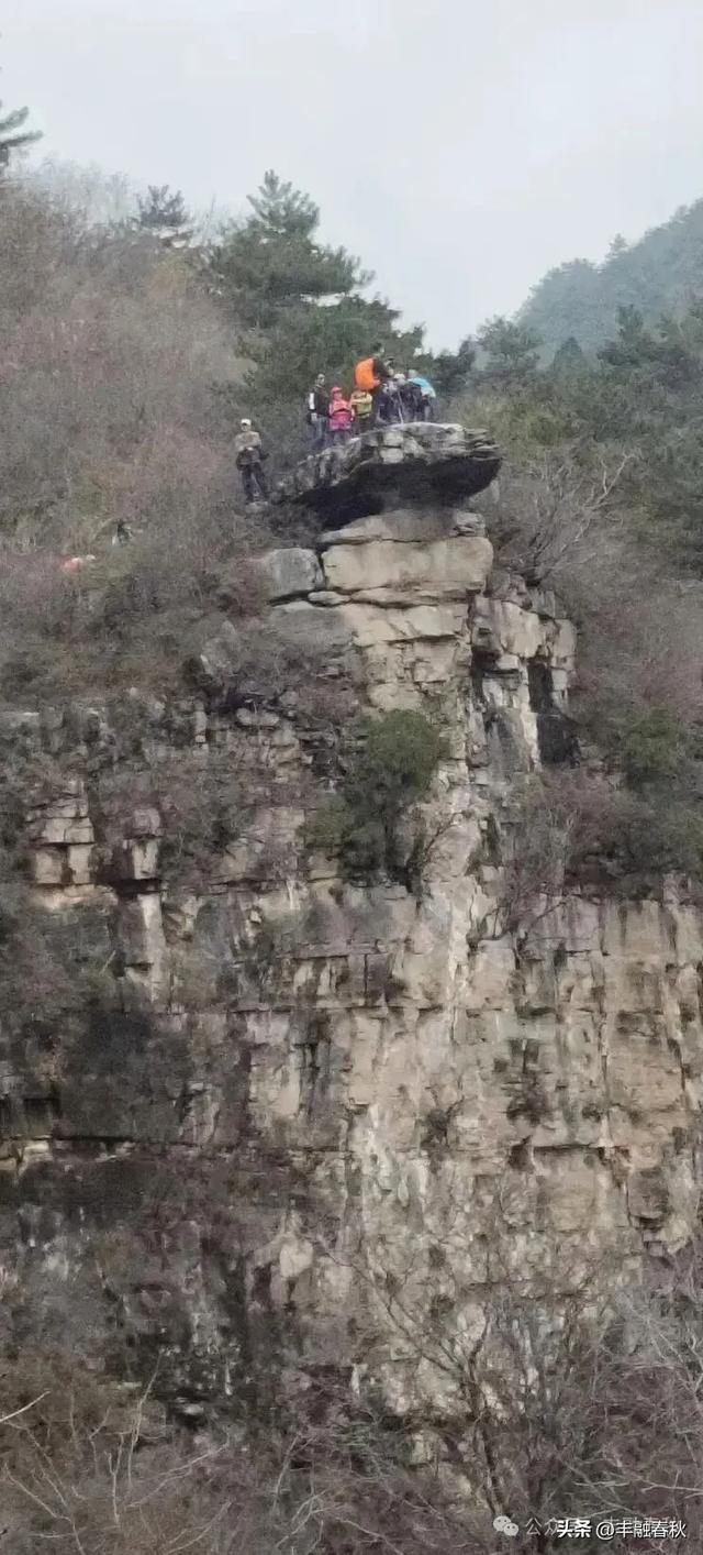 爬草双（外一首）｜ 罗锋