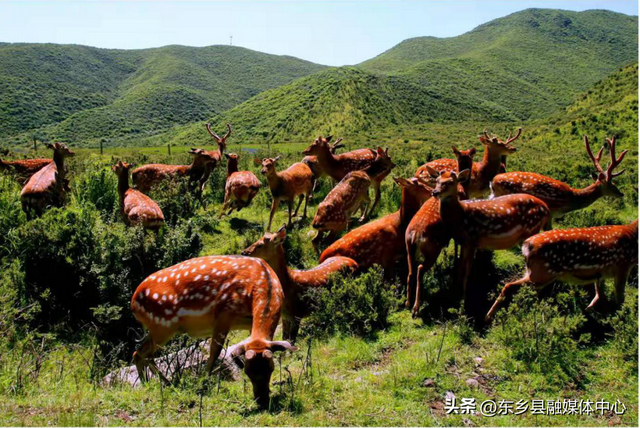 沿太子山旅游大通道自驾之旅：这条自驾线，“浪山”太爽了