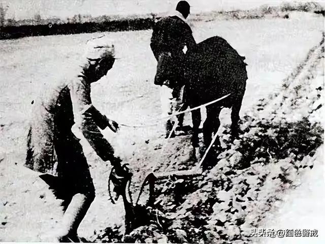 她从大队书记到中央候补委员，84年被开除党籍，退休后住进深山中