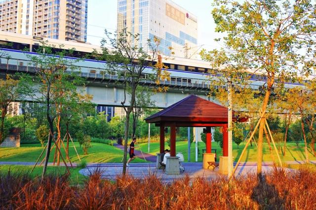 三条高铁并行！桥下还有“宝藏”，等你发现！