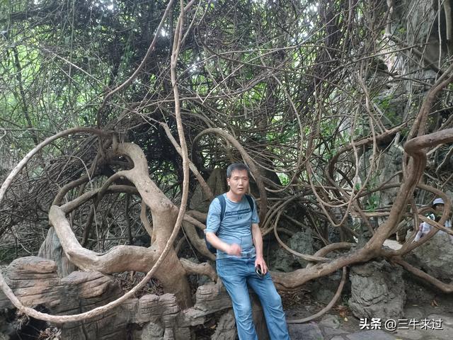 无为在歧路，贵州六日行（8）～黄果树
